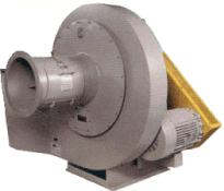 TYPEW.GIF (19944 bytes)